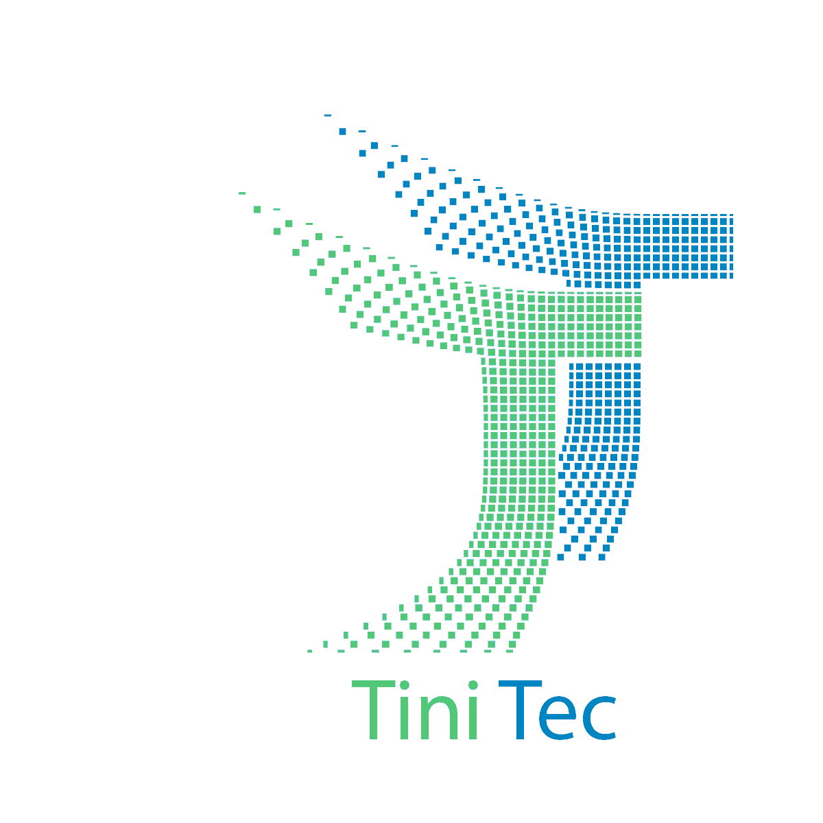 Stage en Développement Full Stack – TiniTec (Alger)
