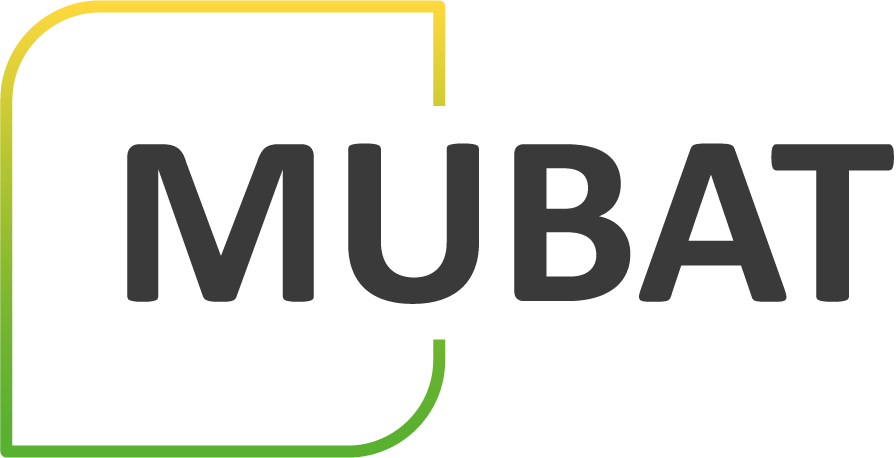 Ingénieur en Informatique